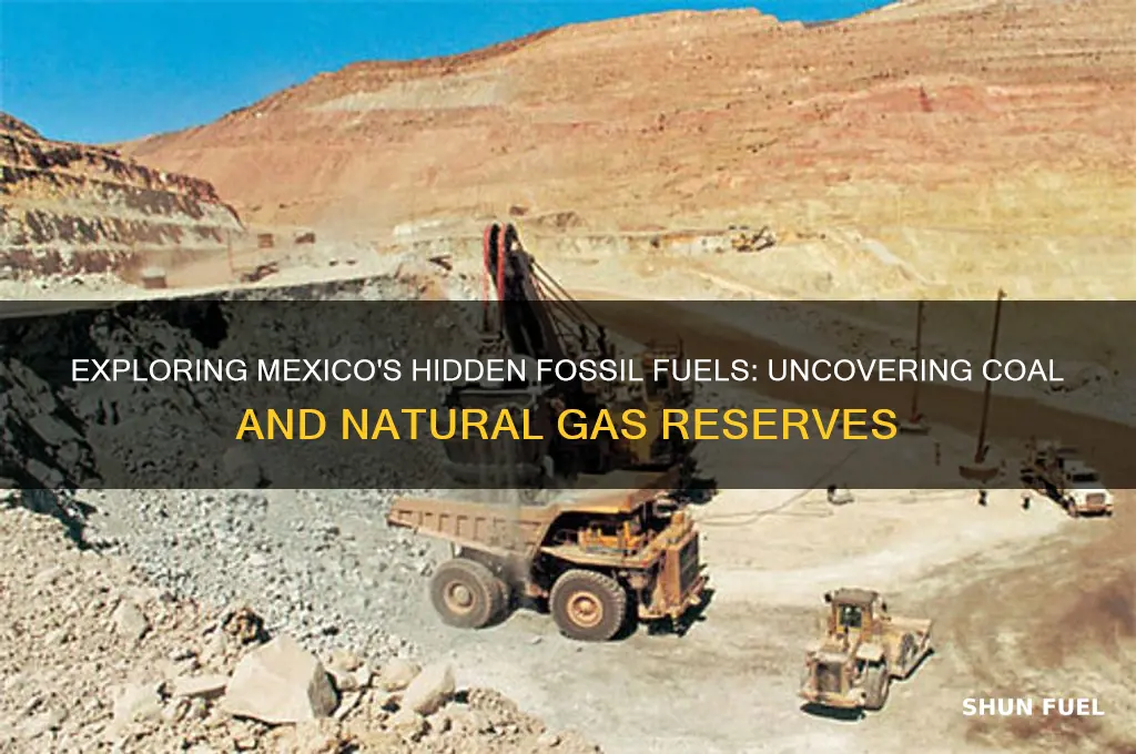 where are the other two fossil fuels found in mexico