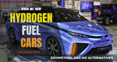 Hydrogen Fuel Cars: Where Are They Now?