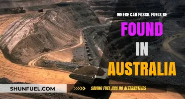 Exploring Australia's Fossil Fuel Reserves: Locations and Significance