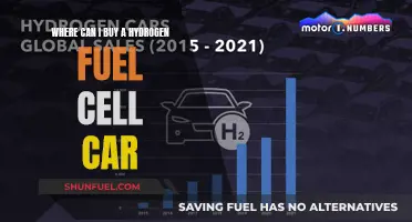 Hydrogen Fuel Cell Cars: Where to Buy?