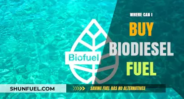 Where to Buy Biodiesel Fuel: Top Locations and Suppliers