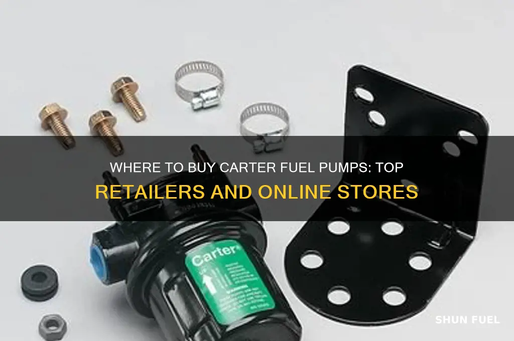 where can i buy carter fuel pumps