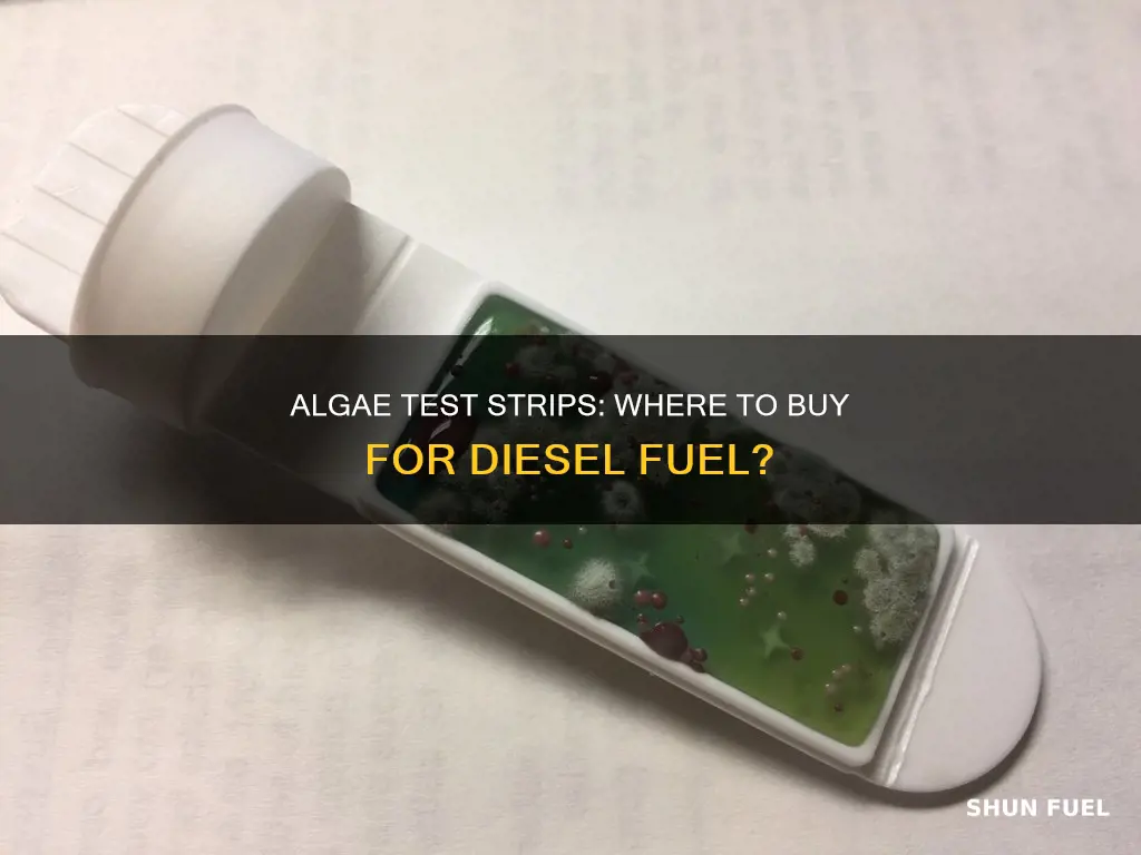 where can i buy diesel fuel algae test strips