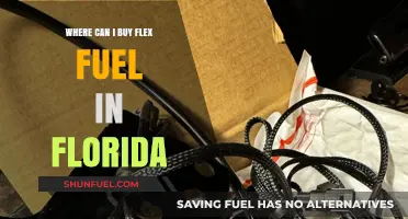 Finding Flex Fuel in Florida: Top Stations and Locations to Refuel