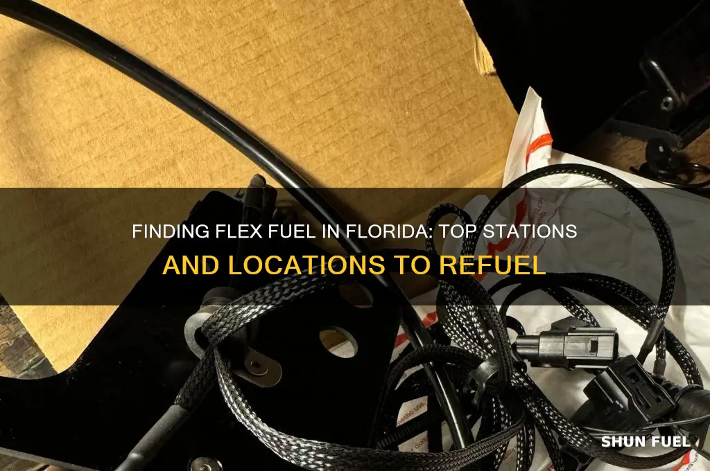 where can i buy flex fuel in florida
