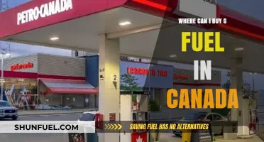 Where to Buy G Fuel in Canada: Top Retailers and Online Options