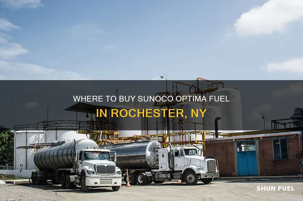 where can i buy sunoco optima fuel in rochester ny