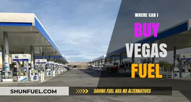 Where to Buy Vegas Fuel: Top Locations and Tips for Purchase