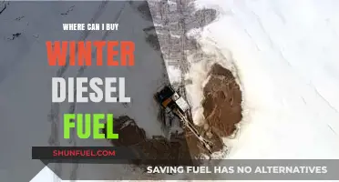 Winter Diesel Fuel: Where and When to Buy It
