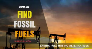 Discovering Fossil Fuels: Locations and Extraction Sites Worldwide