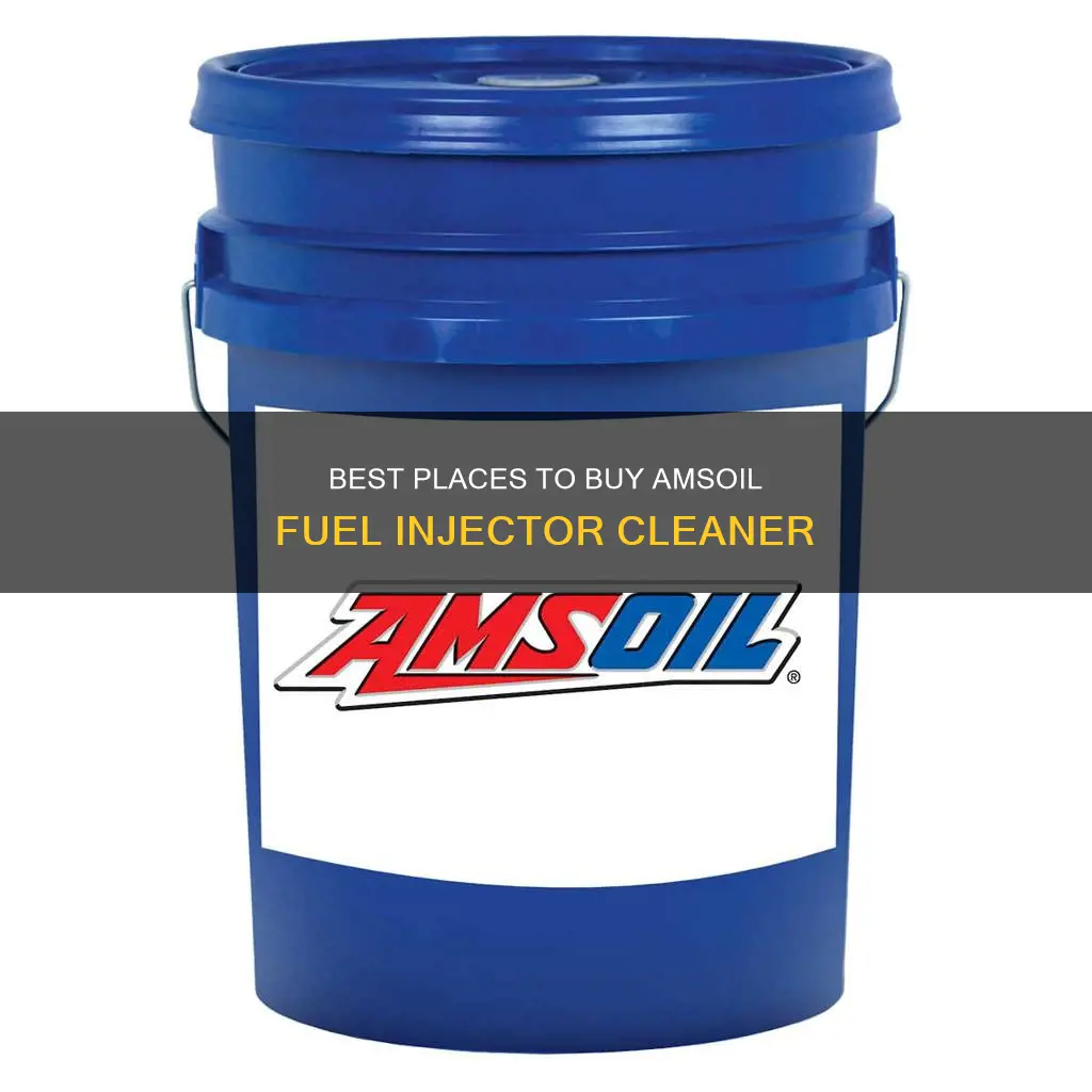 where can i get amsoil fuel injector cleaner