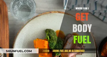 Where to Find Body Fuel: Top Sources for Sustained Energy
