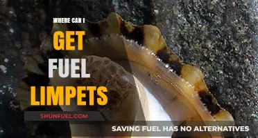 Where to Find Fuel Limpets: Essential Locations for Elite Dangerous Pilots