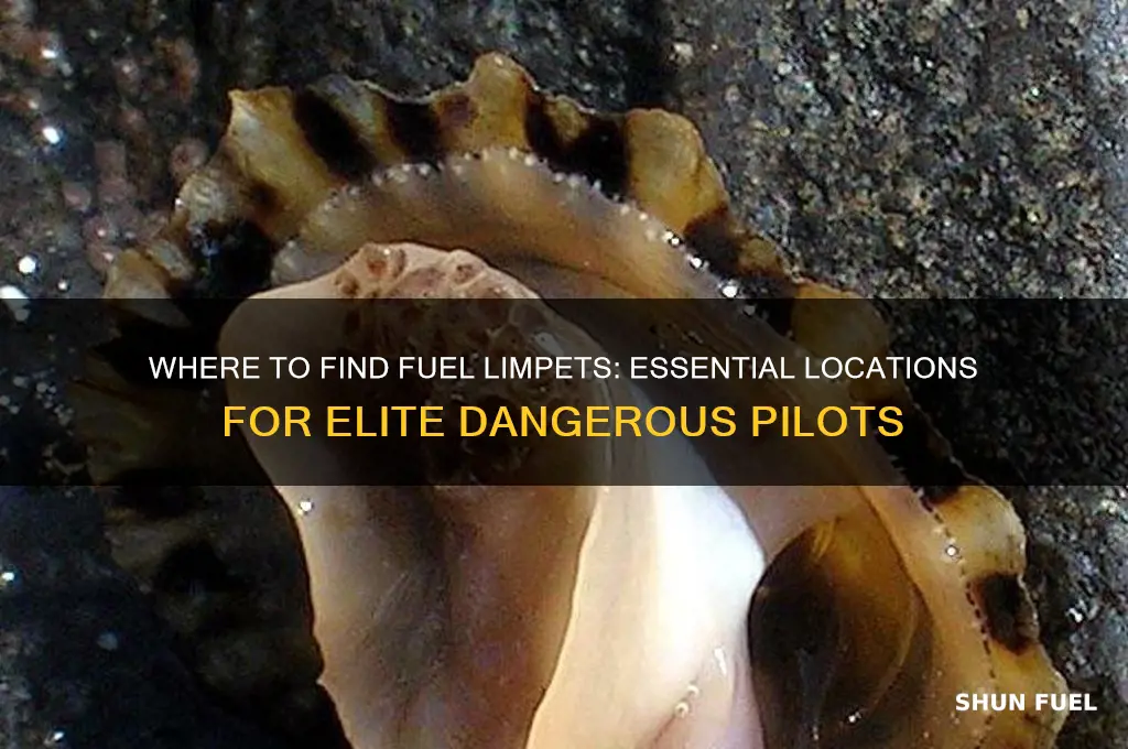 where can i get fuel limpets