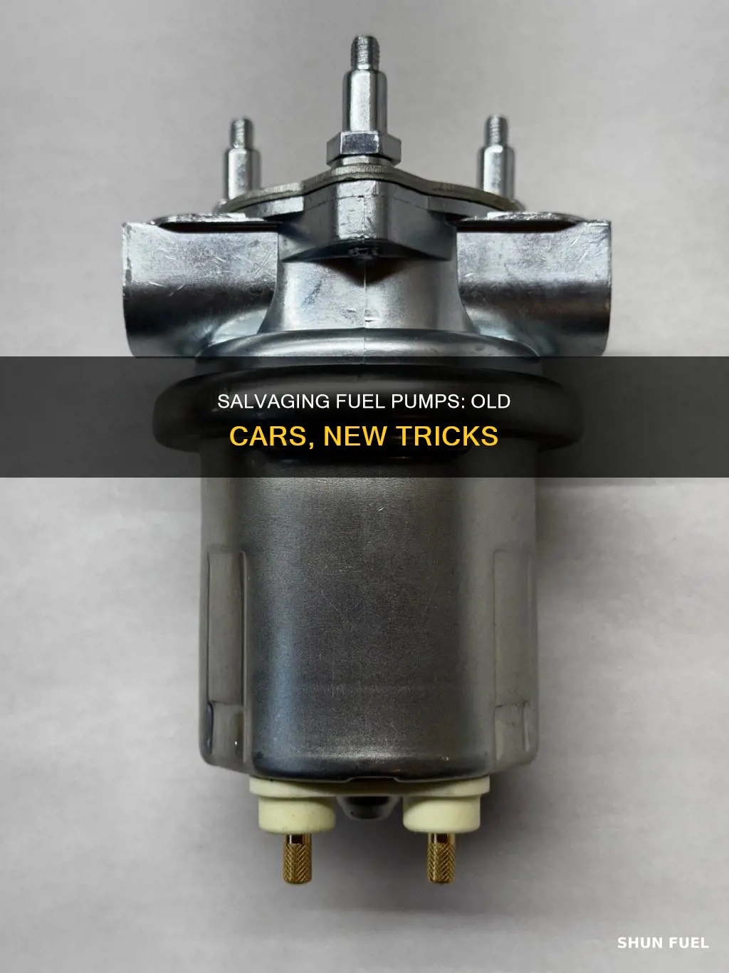 where can i get fuel pump from old car
