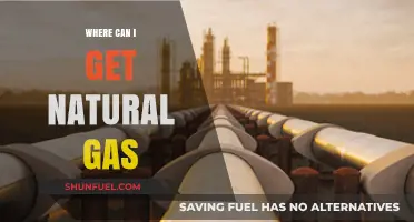 Exploring Options: Where to Source Natural Gas Locally and Sustainably