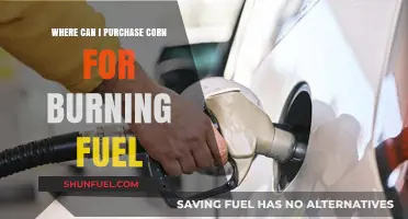 Eco-Friendly Heating: Best Places to Buy Corn for Fuel Burning