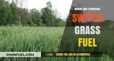 Where to Buy Switch Grass Fuel: Top Sources and Suppliers