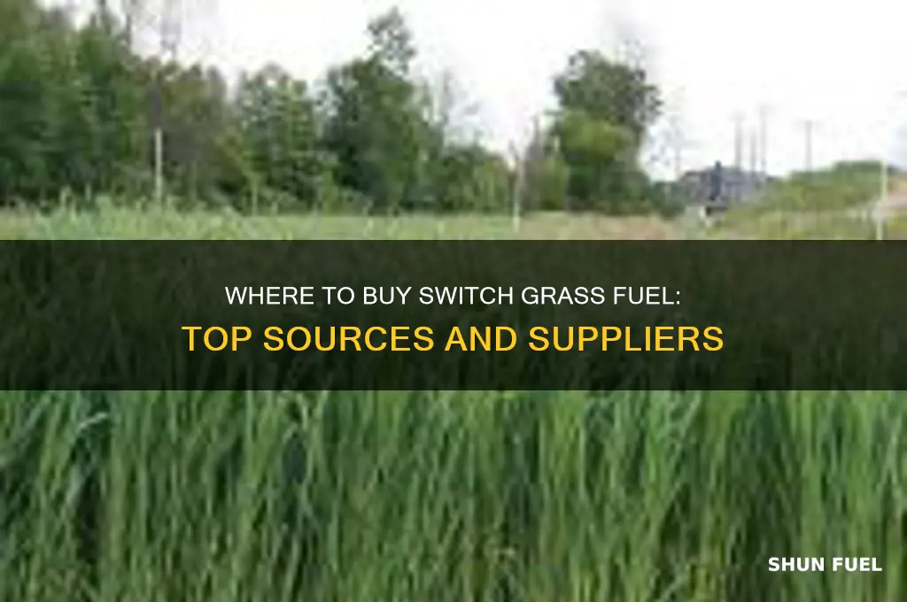 where can i purchase switch grass fuel