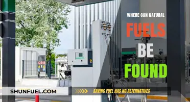 Exploring Earth's Hidden Treasures: Locating Natural Fuel Sources Globally