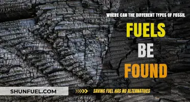 Exploring Fossil Fuel Locations: Coal, Oil, and Gas Deposits Worldwide
