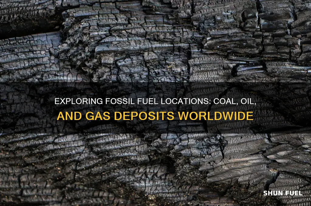 where can the different types of fossil fuels be found