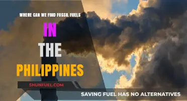 Exploring the Philippines' Fossil Fuel Reserves: Locations and Potential
