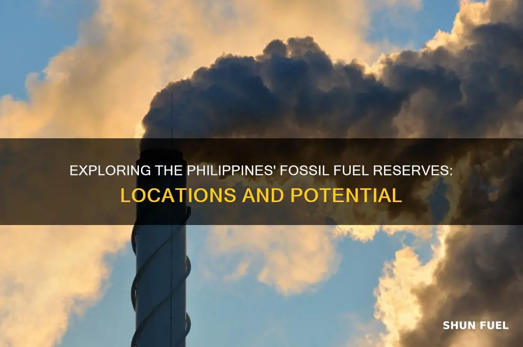 where can we find fossil fuels in the philippines