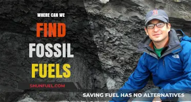 Exploring Earth's Depths: Locating Fossil Fuels in Sedimentary Basins