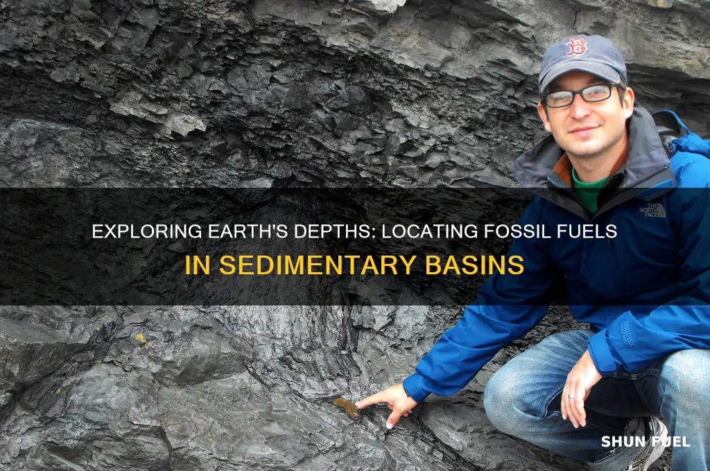 where can we find fossil fuels