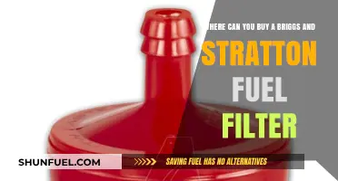 Briggs and Stratton Fuel Filters: Where to Buy?