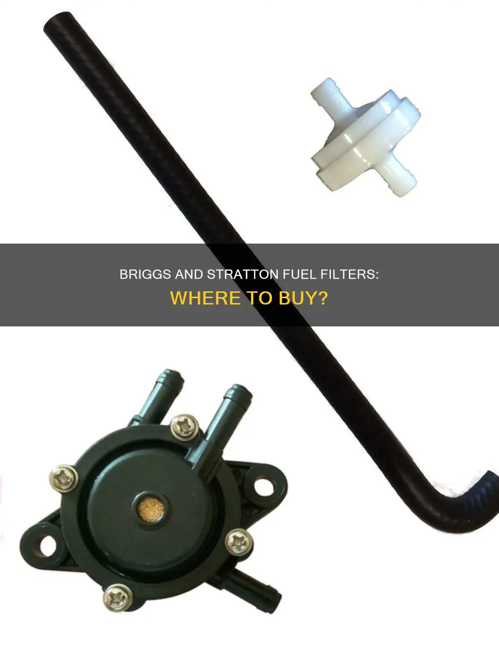 where can you buy a briggs and stratton fuel filter