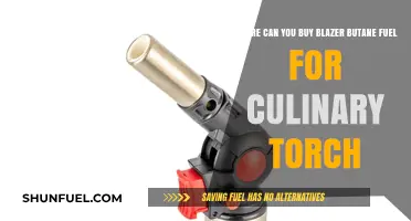 Where to Buy Blazer Butane Fuel for Culinary Torches