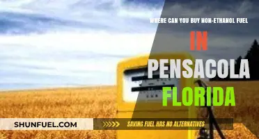 Pensacola's Non-Ethanol Fuel Stations: Where to Find Pure Gasoline