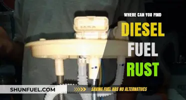 Rust in Diesel: Where to Find and How to Prevent It