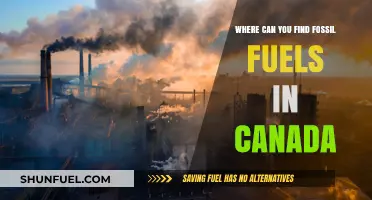 Exploring Canada's Fossil Fuel Reserves: Key Locations and Resources