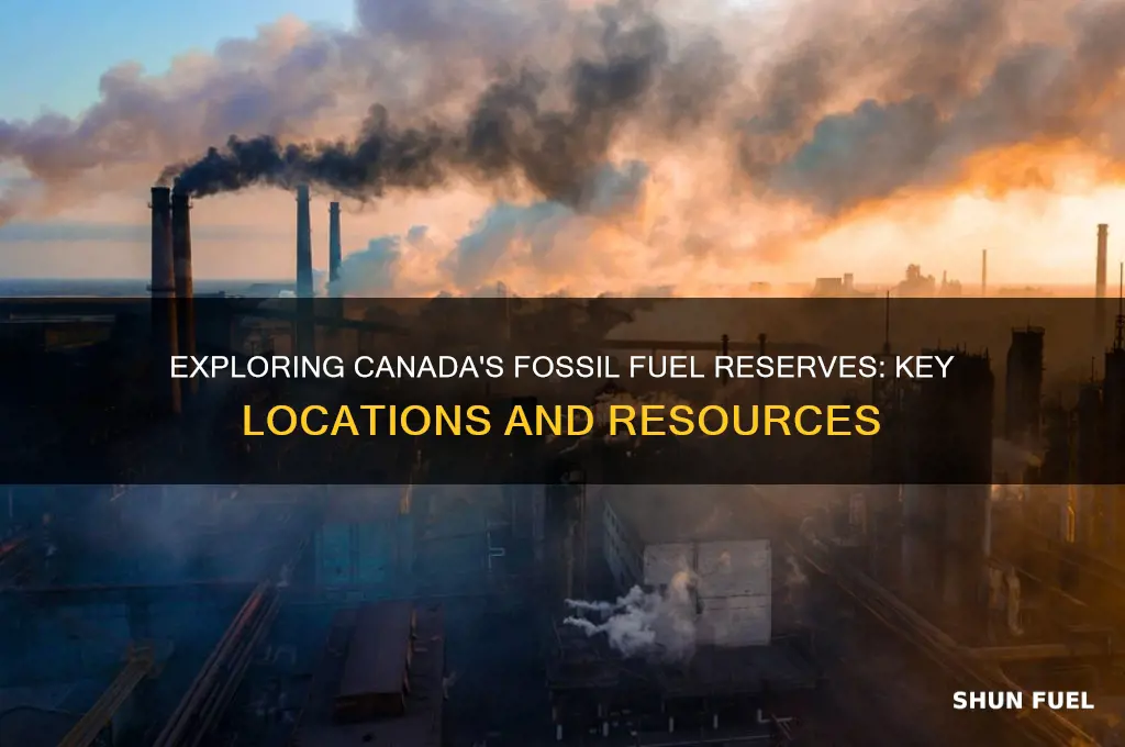 where can you find fossil fuels in canada