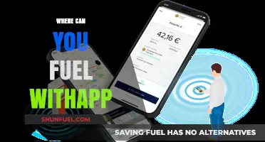 Where to Fuel with App: Top Stations and Networks
