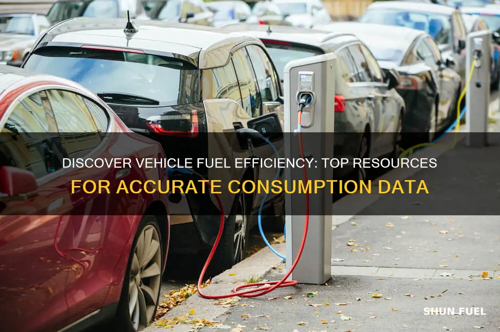 where can you learn more about a vehicle fuel consumption