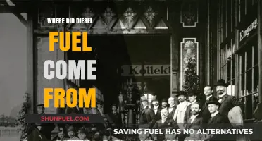 The Origin of Diesel Fuel: A Historical Perspective