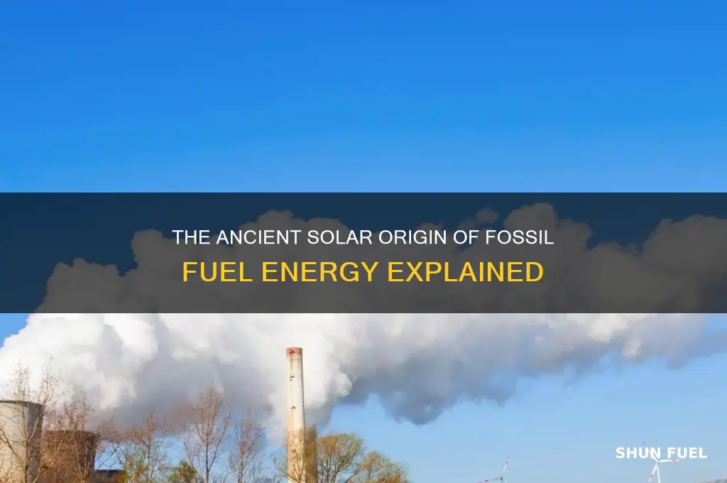 where did energy in fossil fuels originally came from