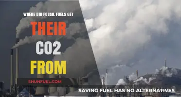 Unraveling the Ancient Origins of Fossil Fuels' CO2 Emissions
