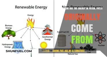 The Sun's Energy: Fossil Fuel Origins