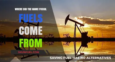 Unveiling the Origins: How Fossil Fuels Got Their Name