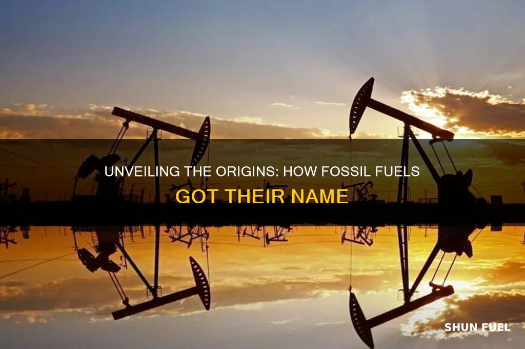 where did the name fossil fuels come from