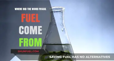 Uncovering the Origins of the Term Fossil Fuel