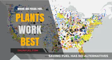 Optimal Locations for Fossil Fuel Plants: Geography, Climate, and Efficiency