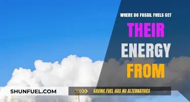 Unveiling the Ancient Origins of Fossil Fuels' Energy Source