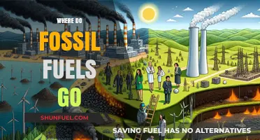 Where Do Fossil Fuels Go? Tracing Their Journey and Impact