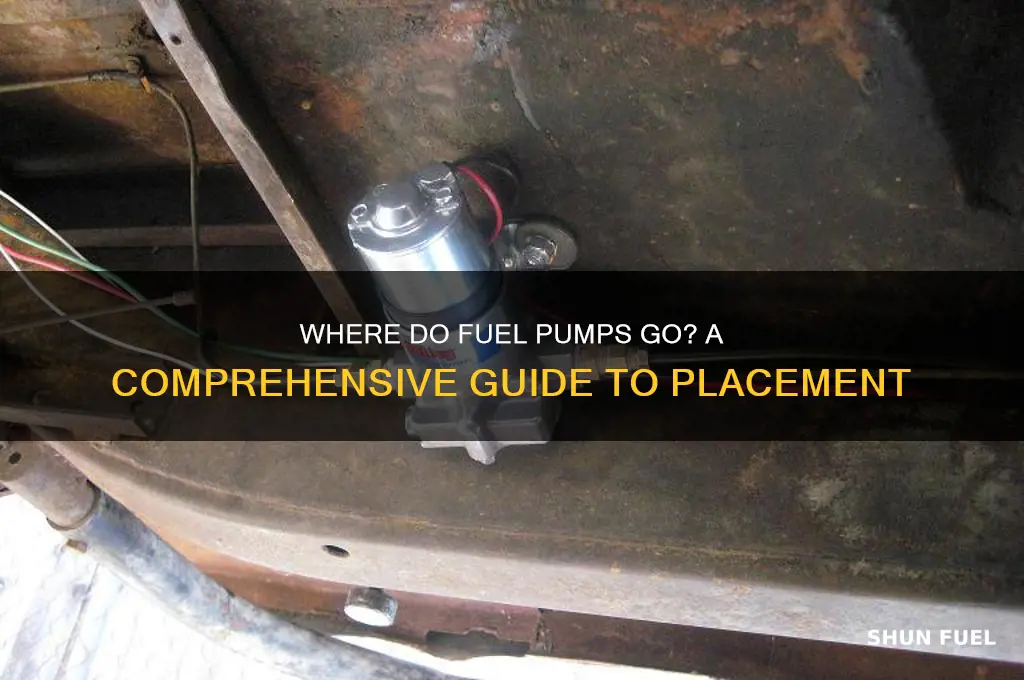 where do fuel pumps go